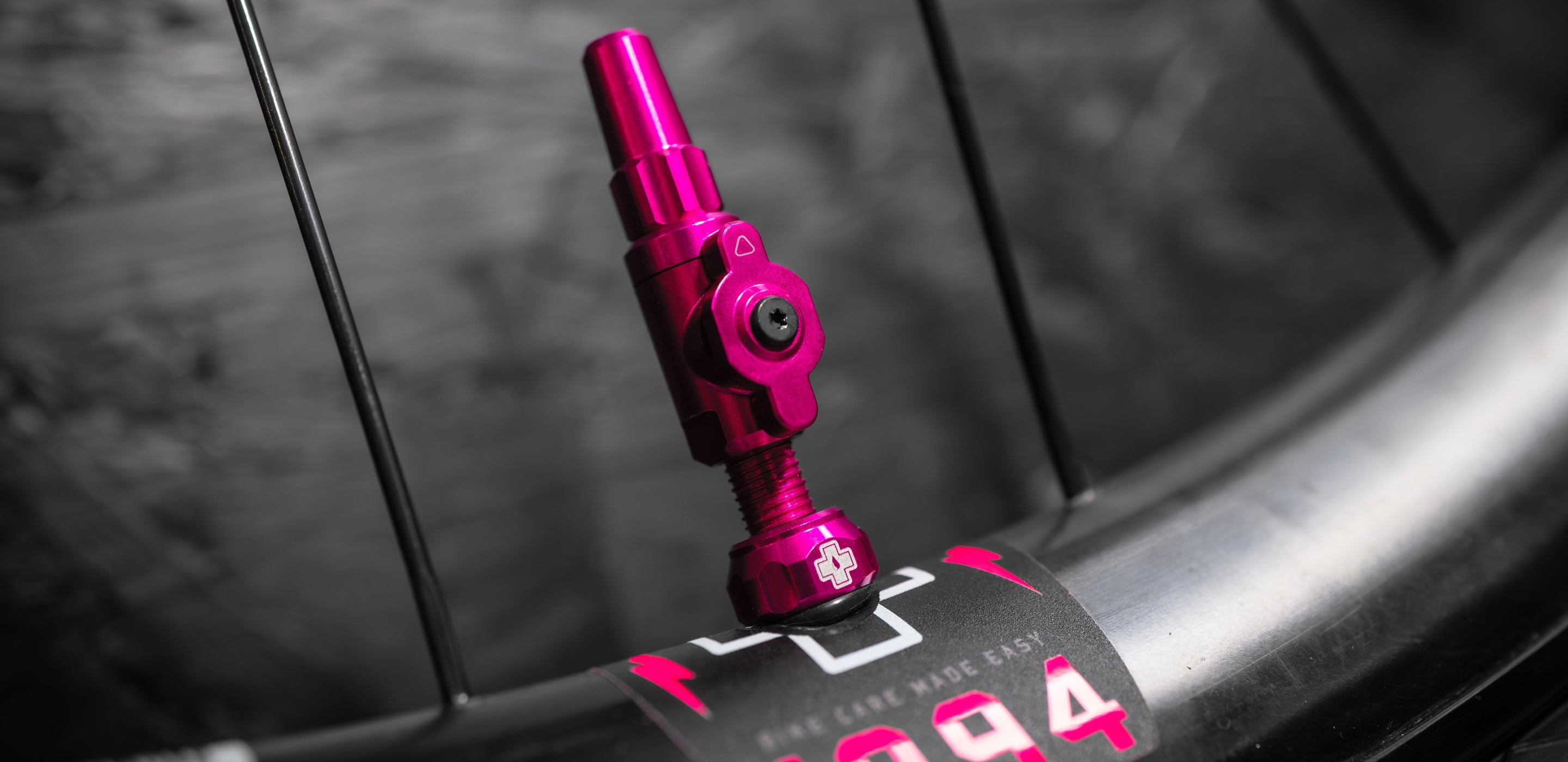 BBL Pink