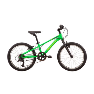Malvern Star Attitude 20 - Jungle Green