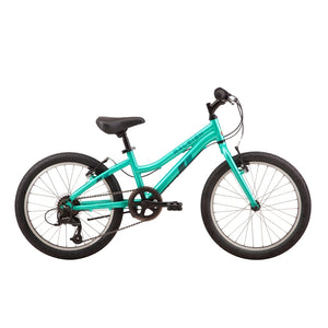 Raleigh Freedom 20 - Turquoise