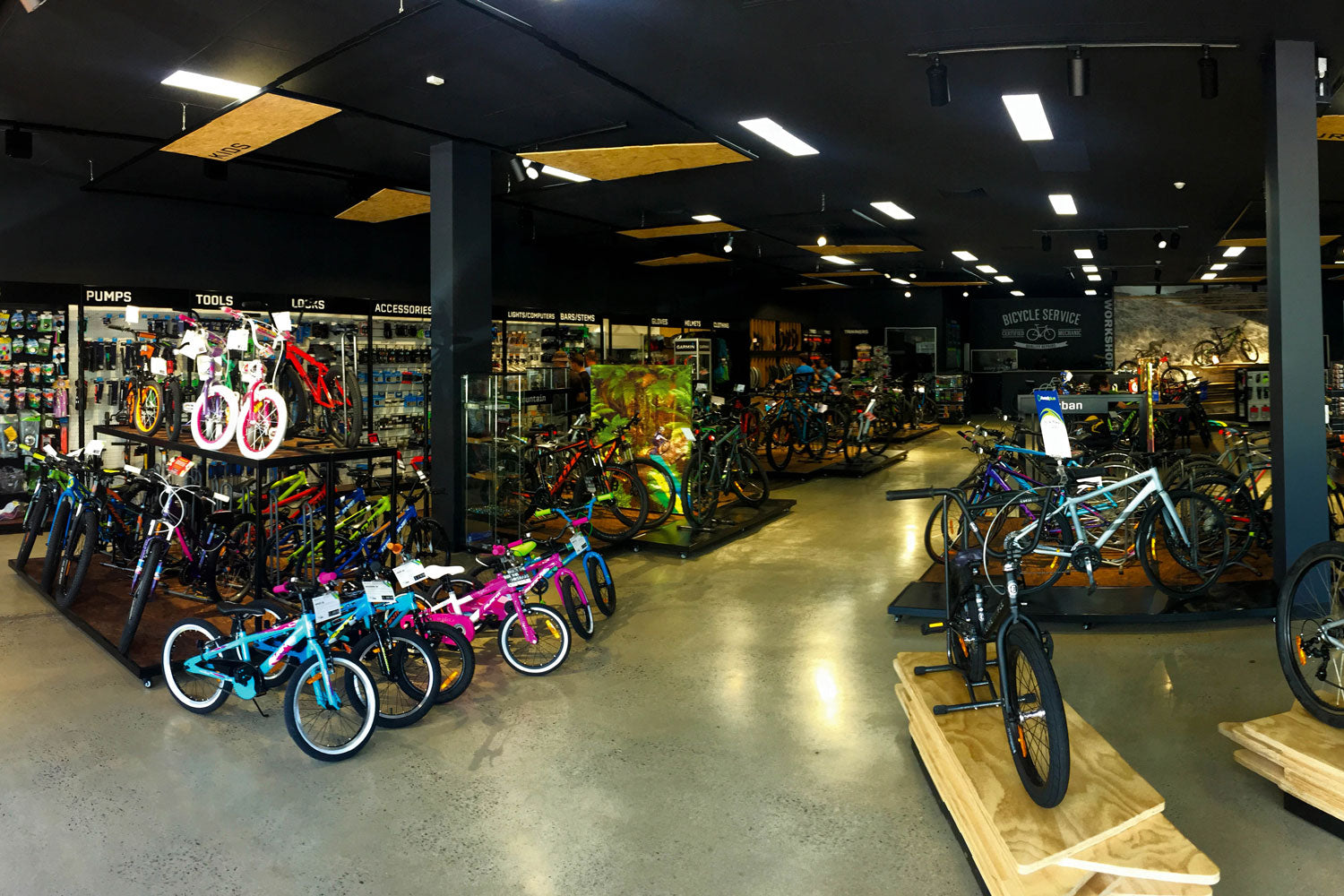 my ride salisbury interior