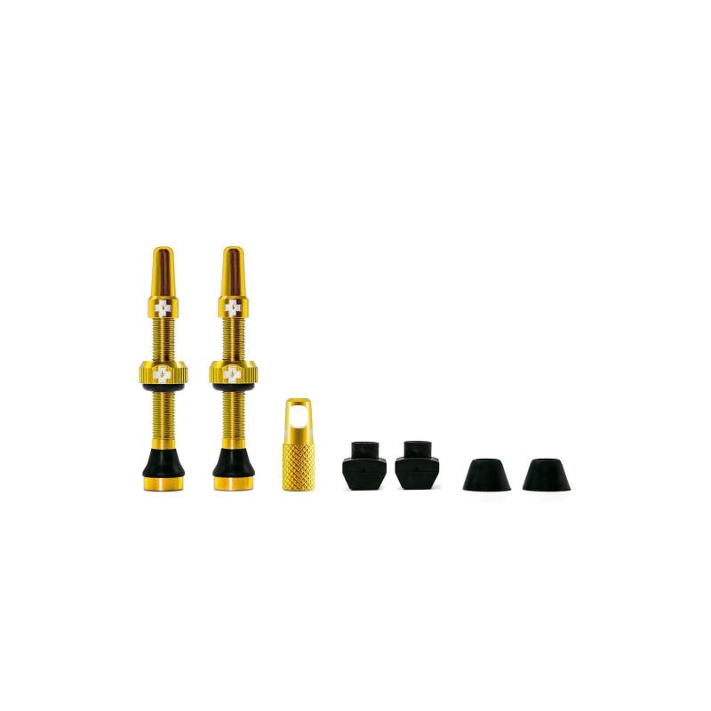 MediumProduct gold44mm01jp 741134