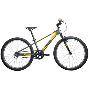 Malvern Star Attitude 24I - Grey