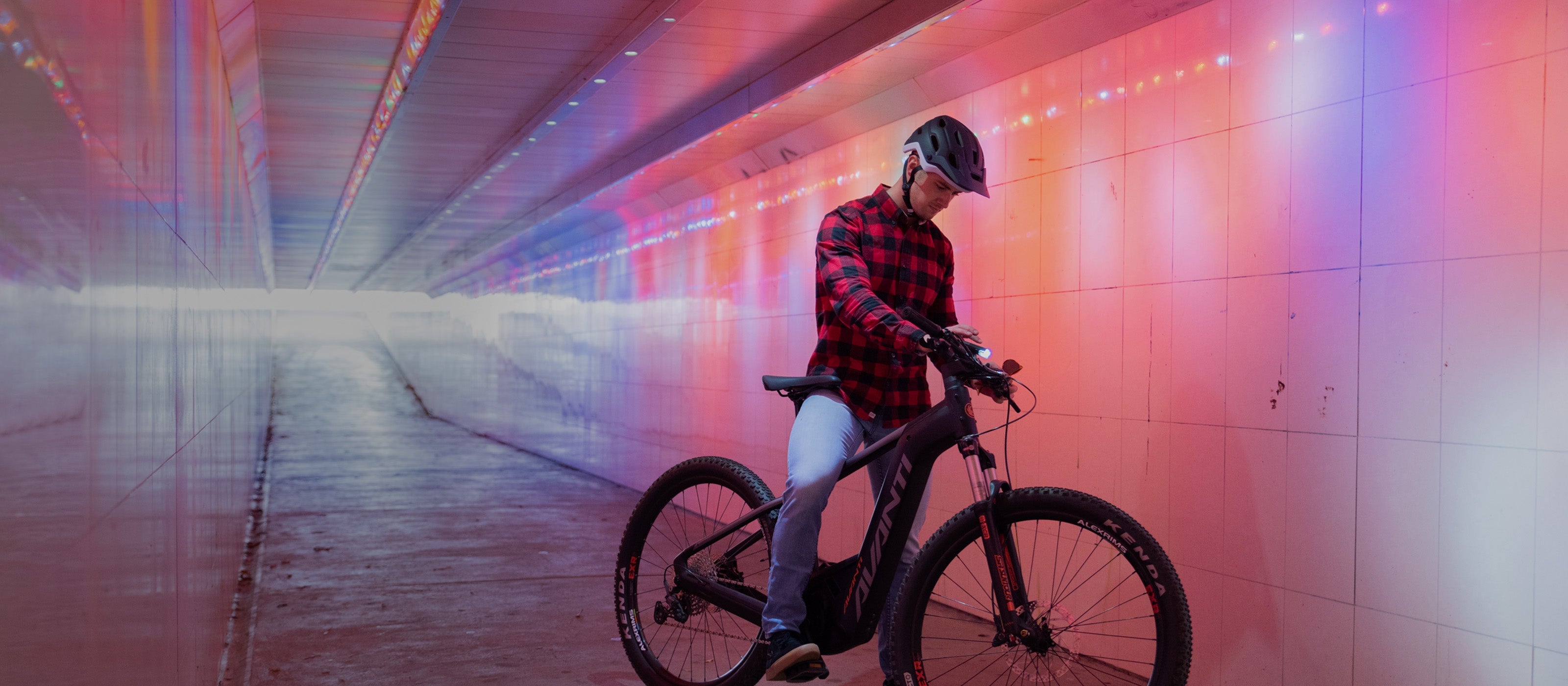 Avanti_Bikes
