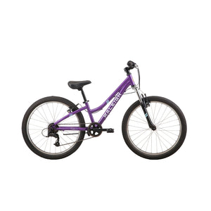 Raleigh Freedom 24 - Dark Purple / Teal Blue