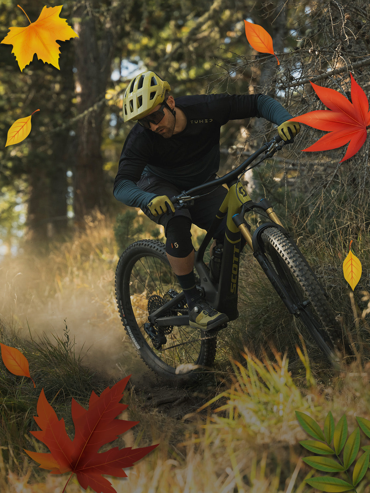 My Ride Autumn Sale Collection Banner Mobile