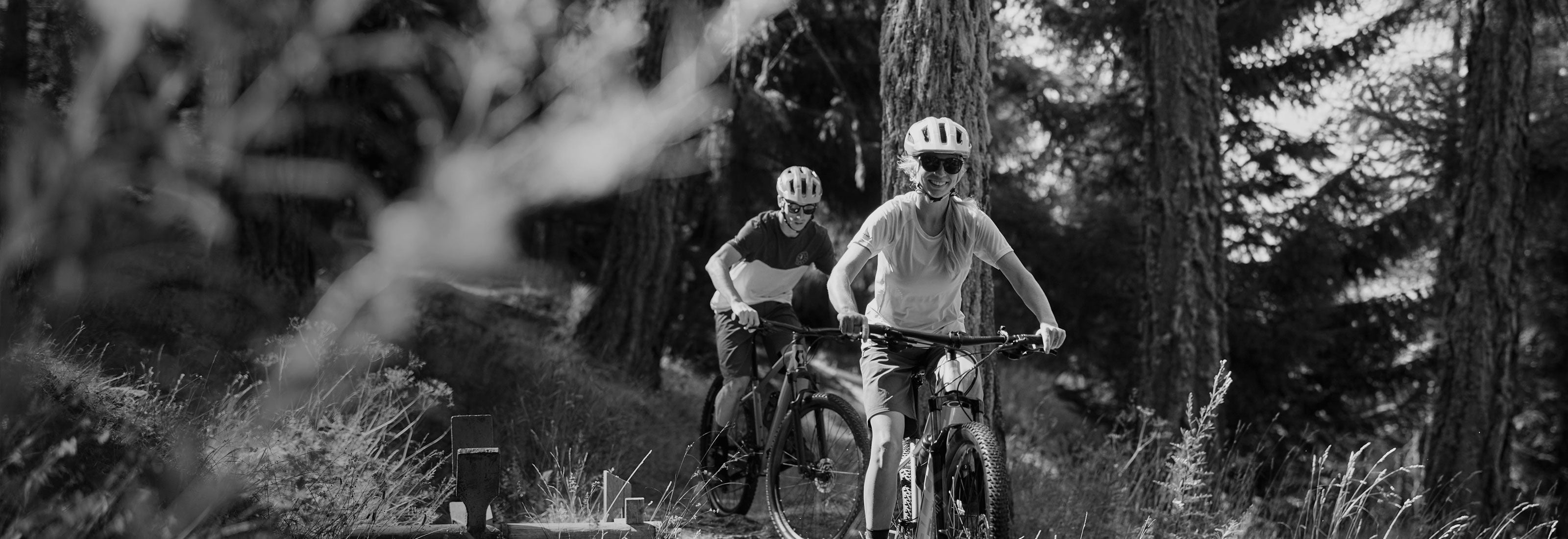 ibd 3200 1100 desktop