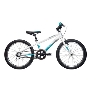 Avanti Spice 20-I - White / Green