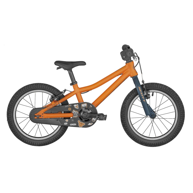 Scott Roxter 16 - Orange