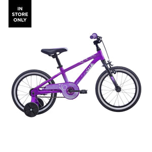 Avanti Spice 16 - Metallic Purple