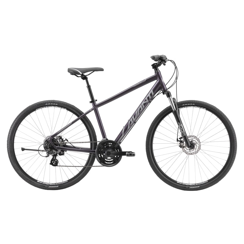 Avanti Discovery MS 1 - Black
