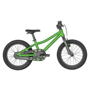Scott Roxter 16 - Green