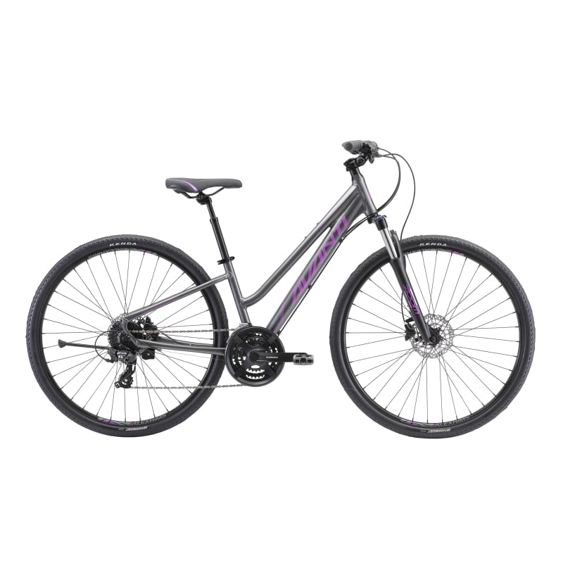 Avanti Discovery 2 Low - Titanium